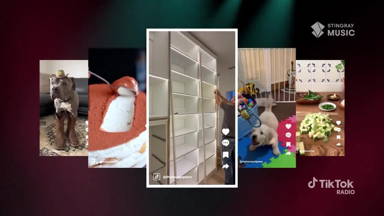 TikTok Radio Brasil ao vivo