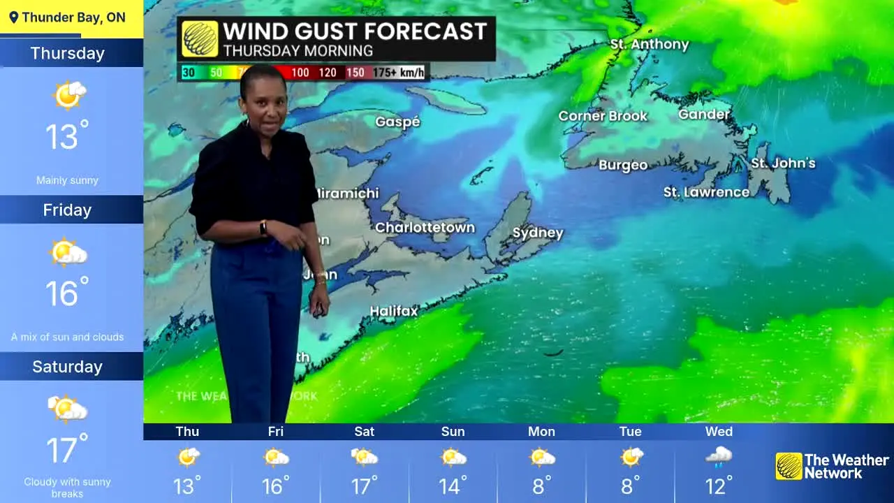 The Weather Network in diretta