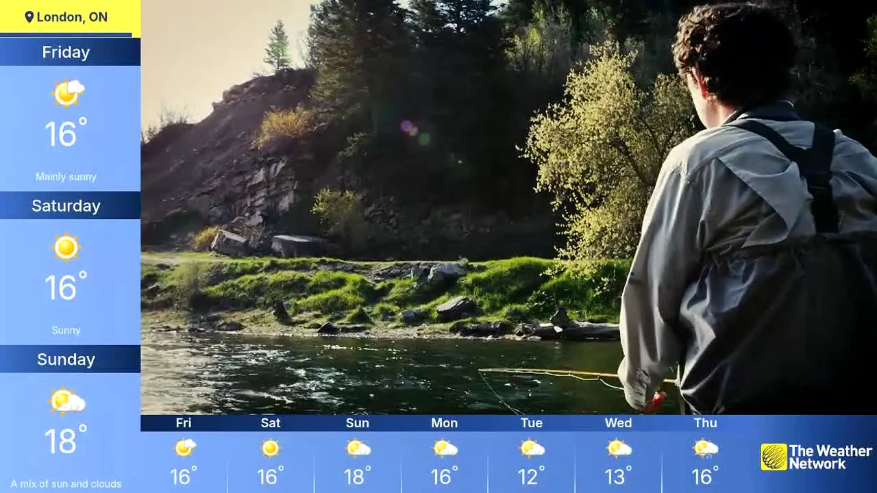 The Weather Network live
