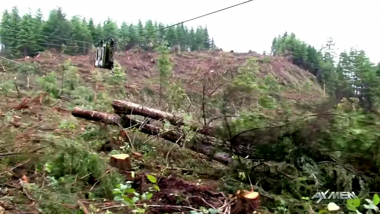 Ax Men — прямой эфир