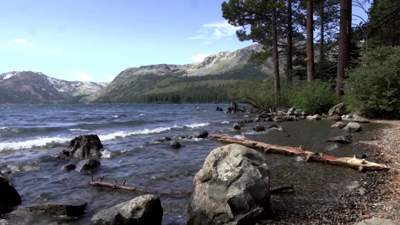 NatureVision en vivo