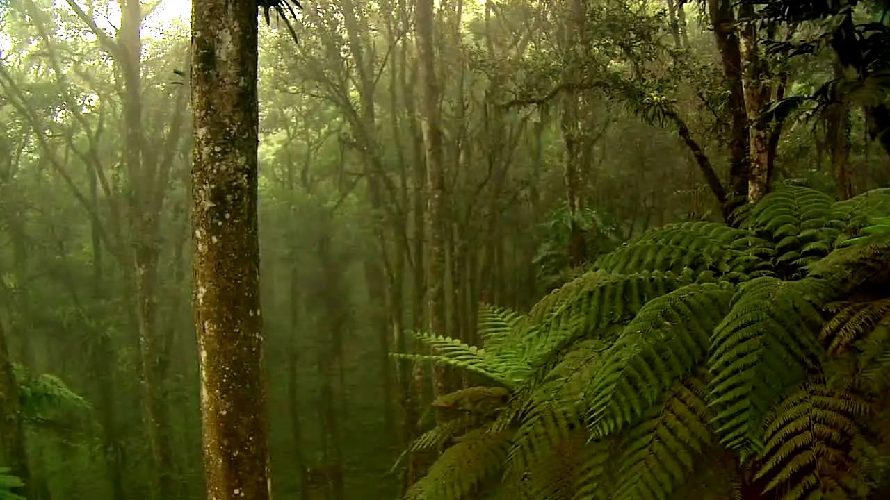 NatureVision live