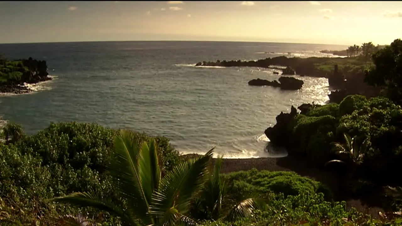 NatureVision live