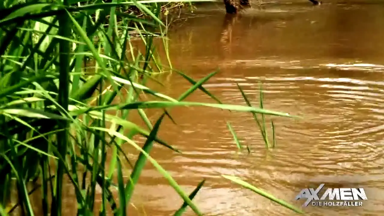 Ax Men en direct