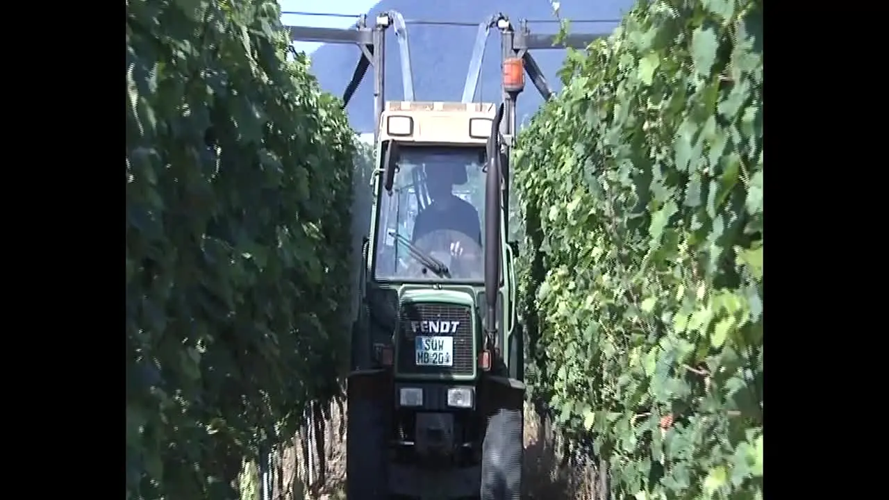 FarmlandTV na żywo