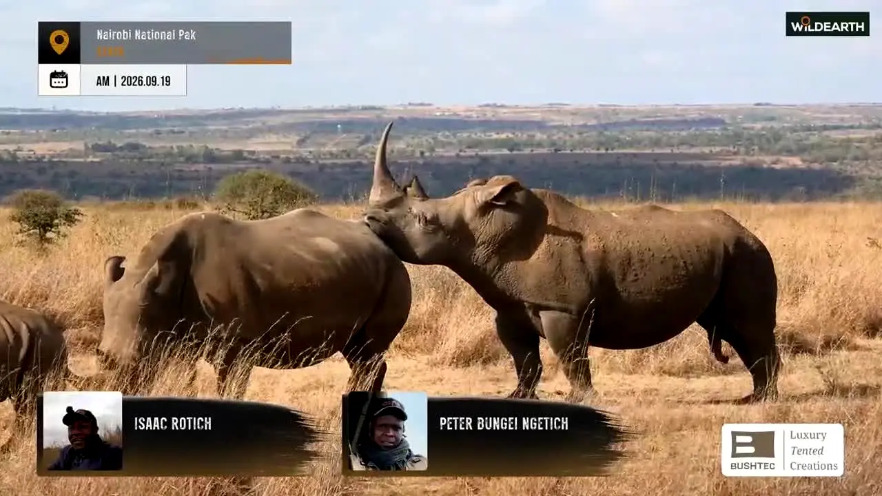 WildEarth live