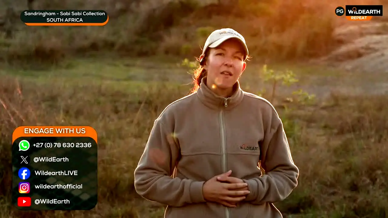 WildEarth en direct