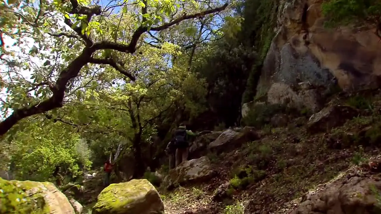 Natur en vivo