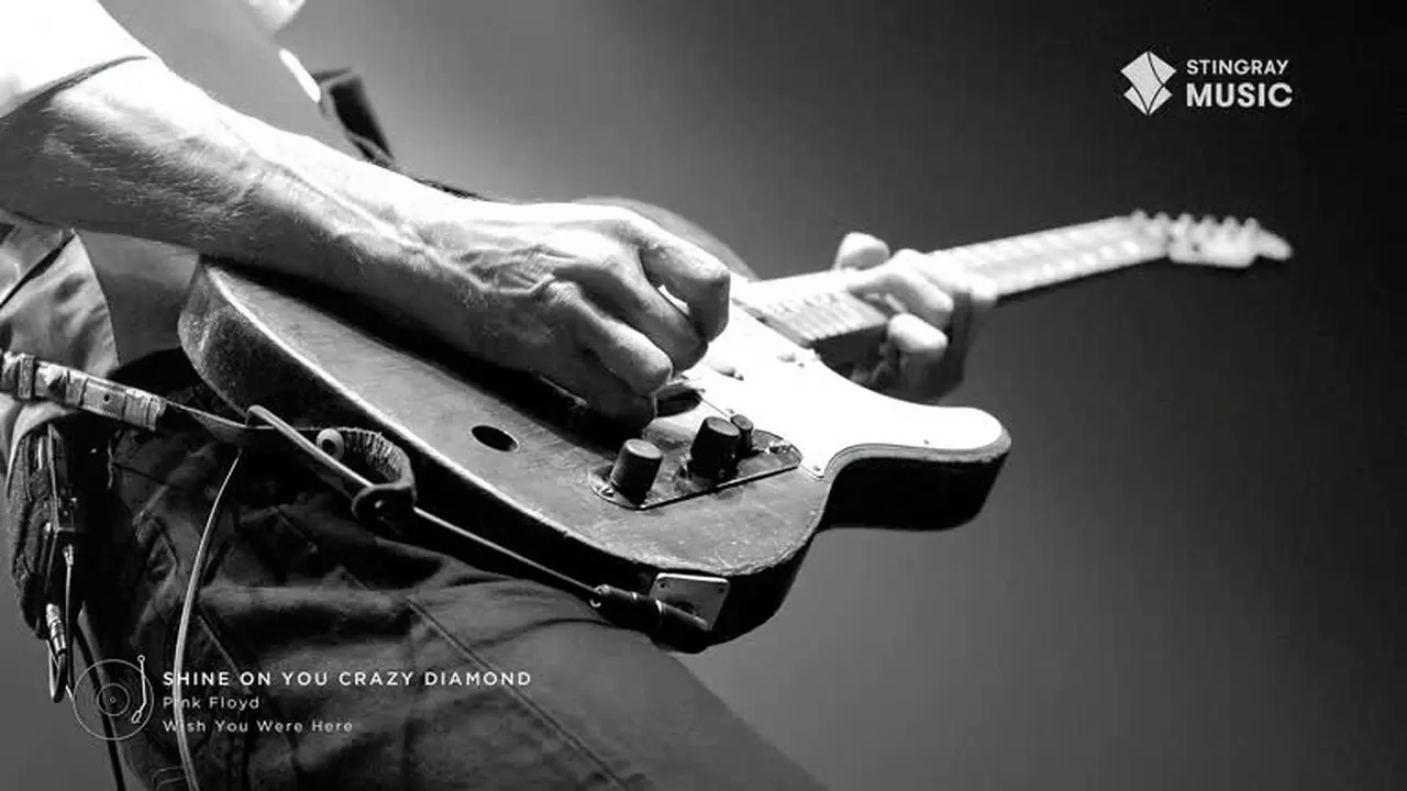 Stingray Classic Rock live
