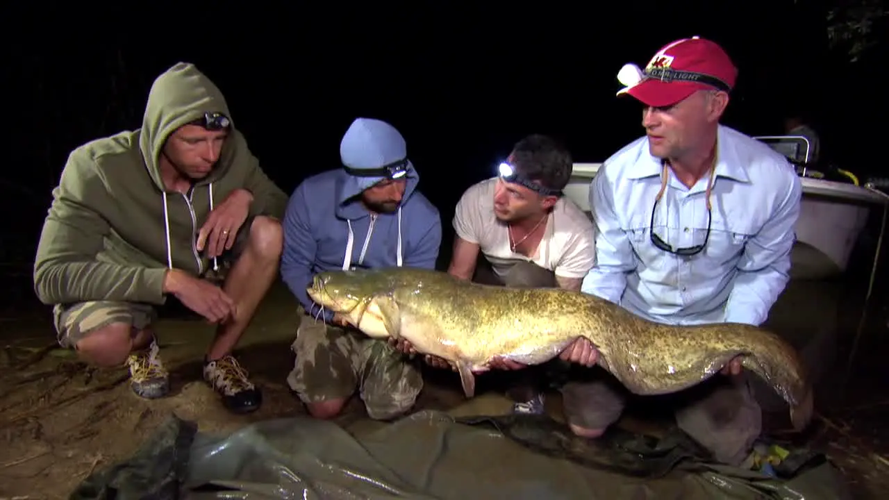 Gone Fishing live