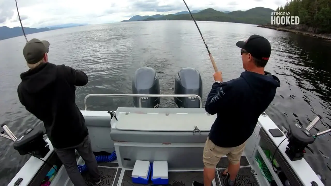 Hooked live