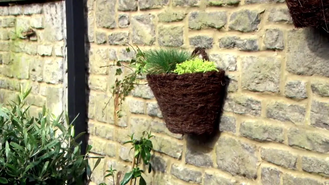 Garden Rescue live