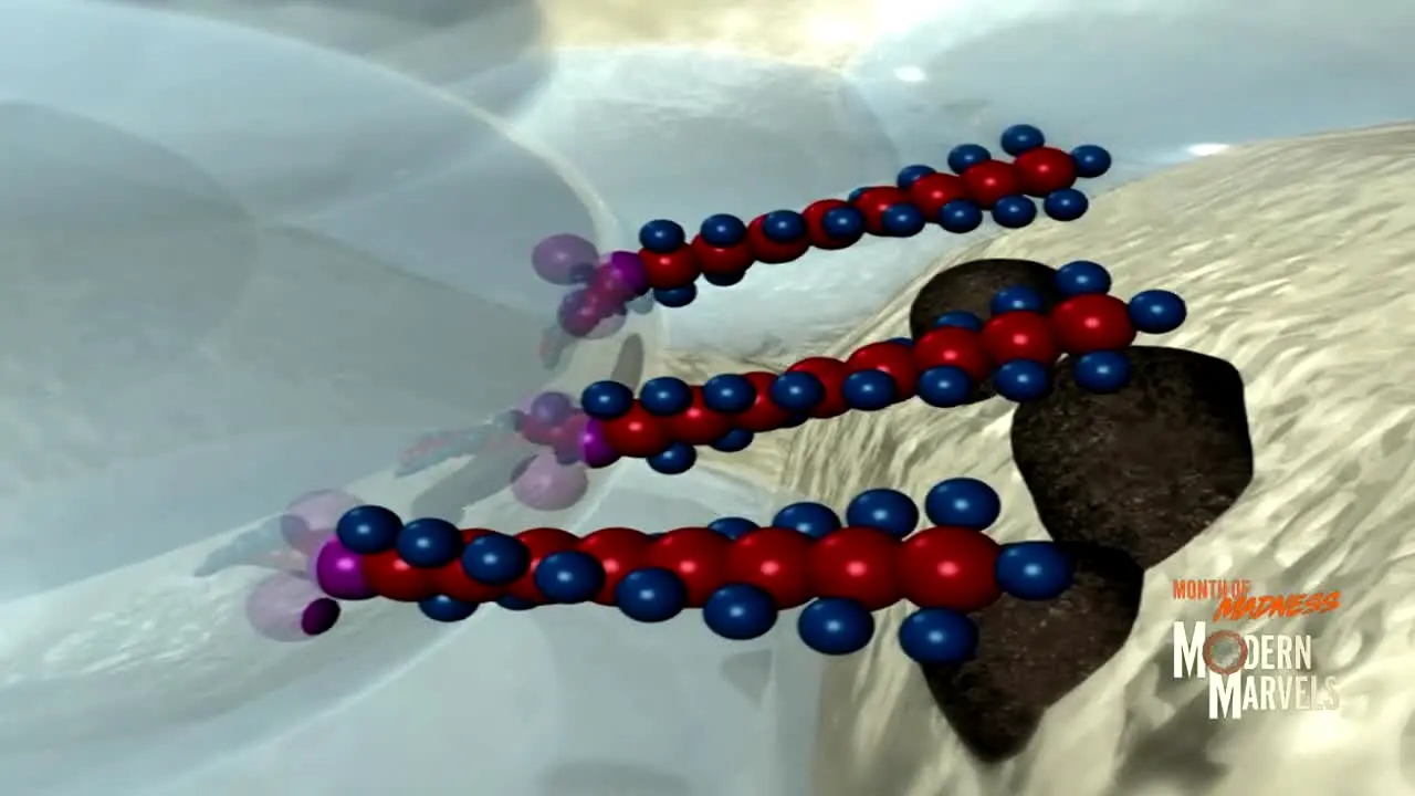 Modern Marvels en vivo
