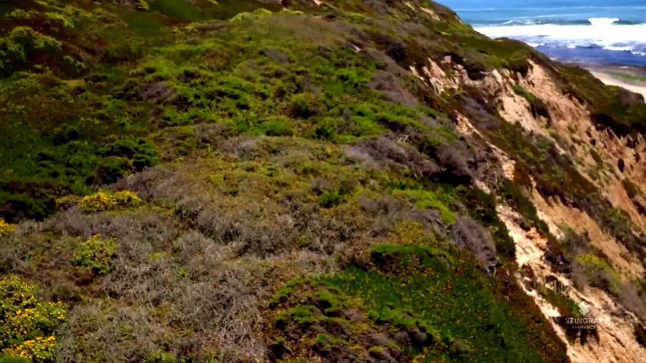 NatureVision live