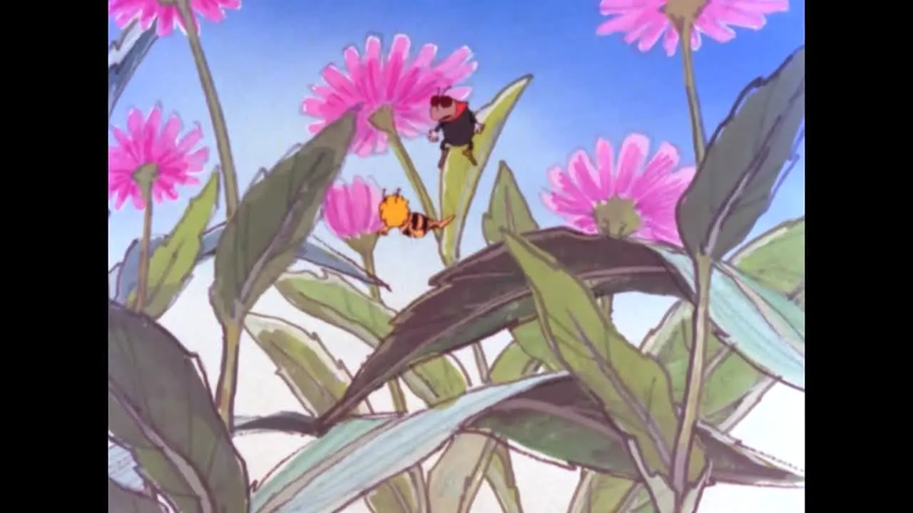 La Abeja Maya na żywo