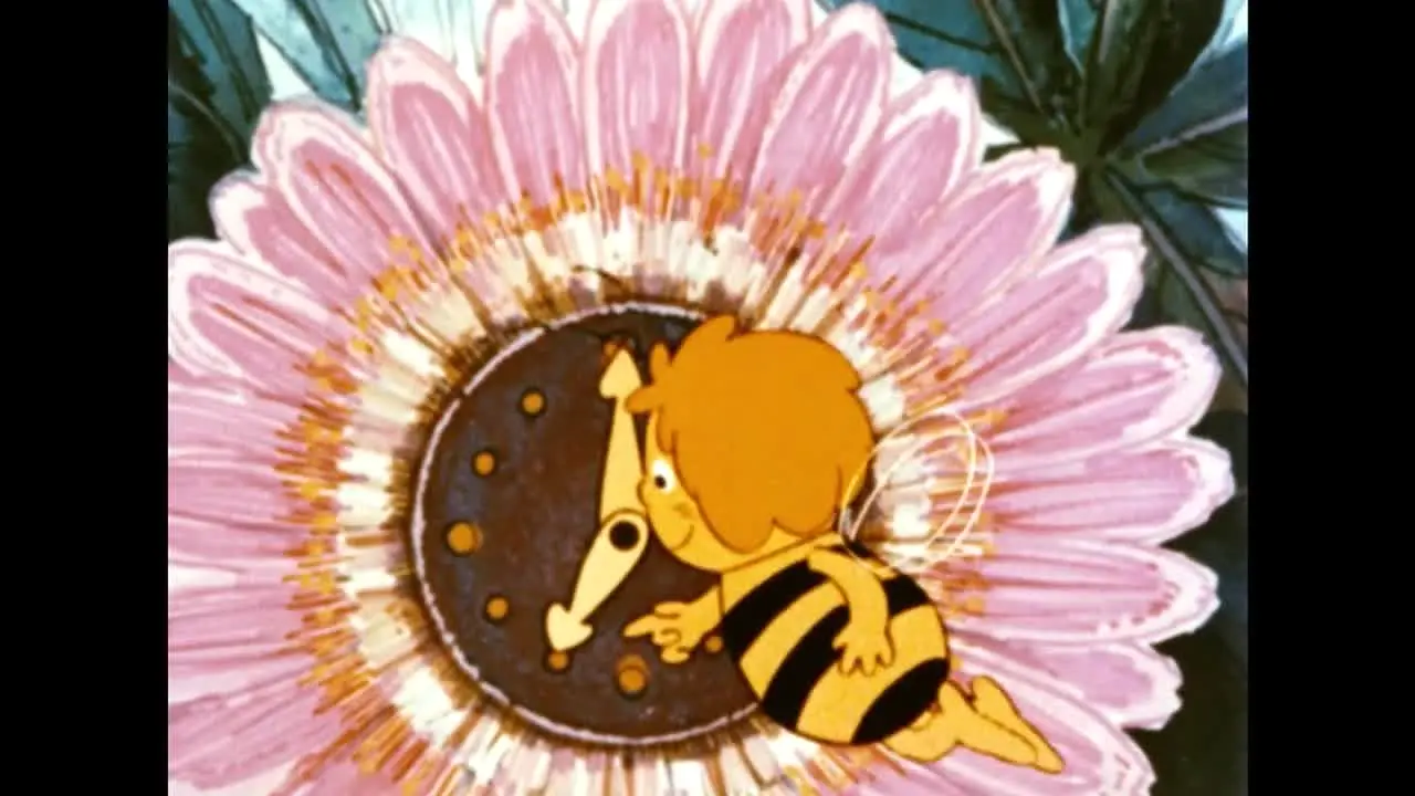 La Abeja Maya ao vivo