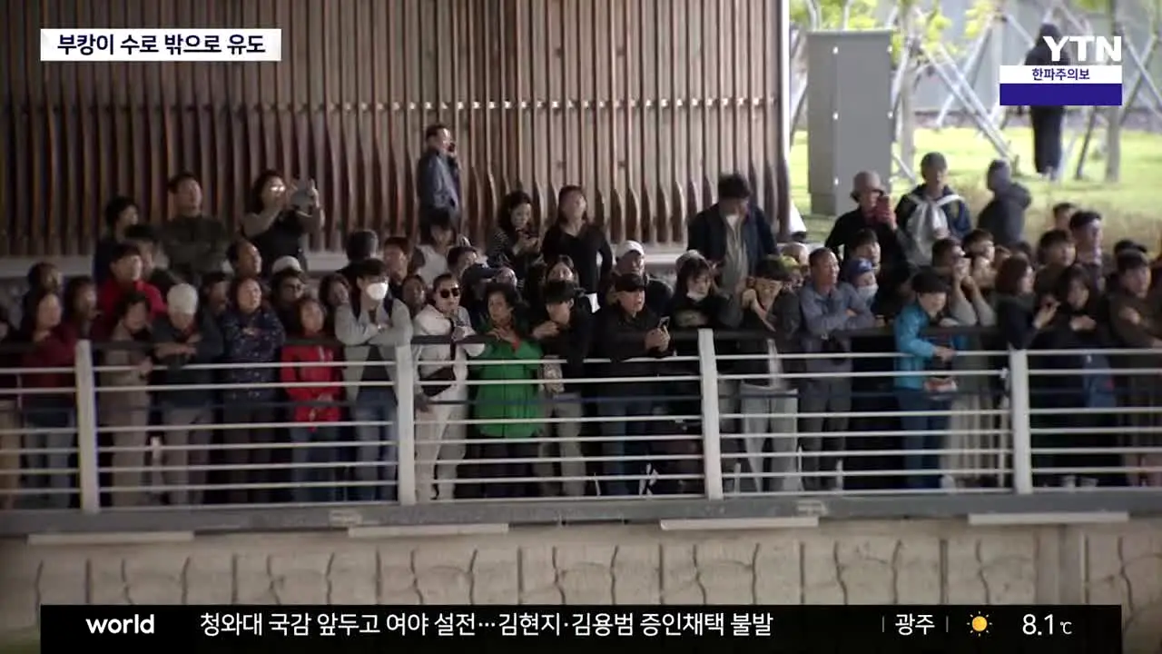 YTN live