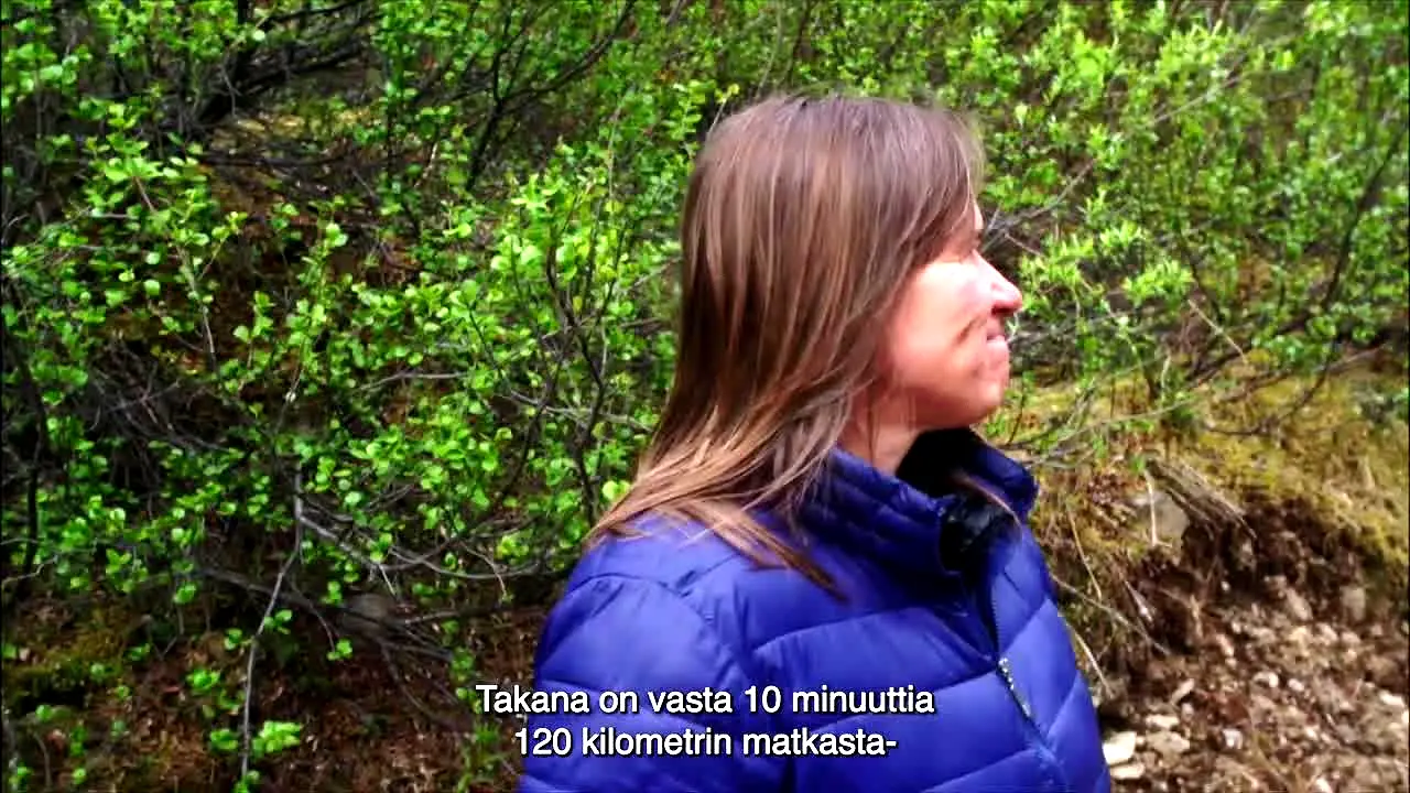 Jade Fever na żywo