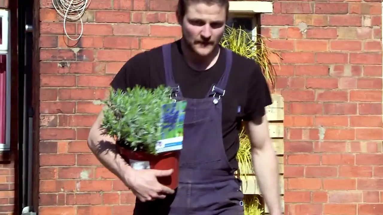 Garden Rescue live