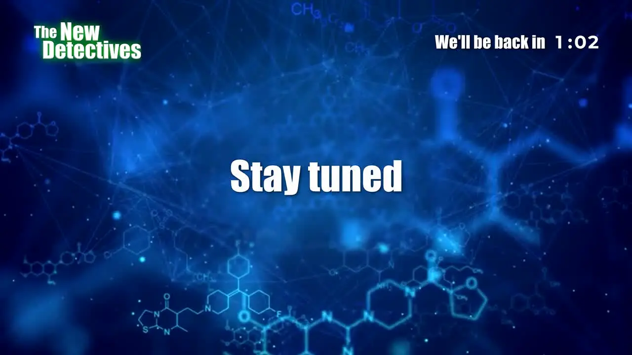 The New Detectives na żywo