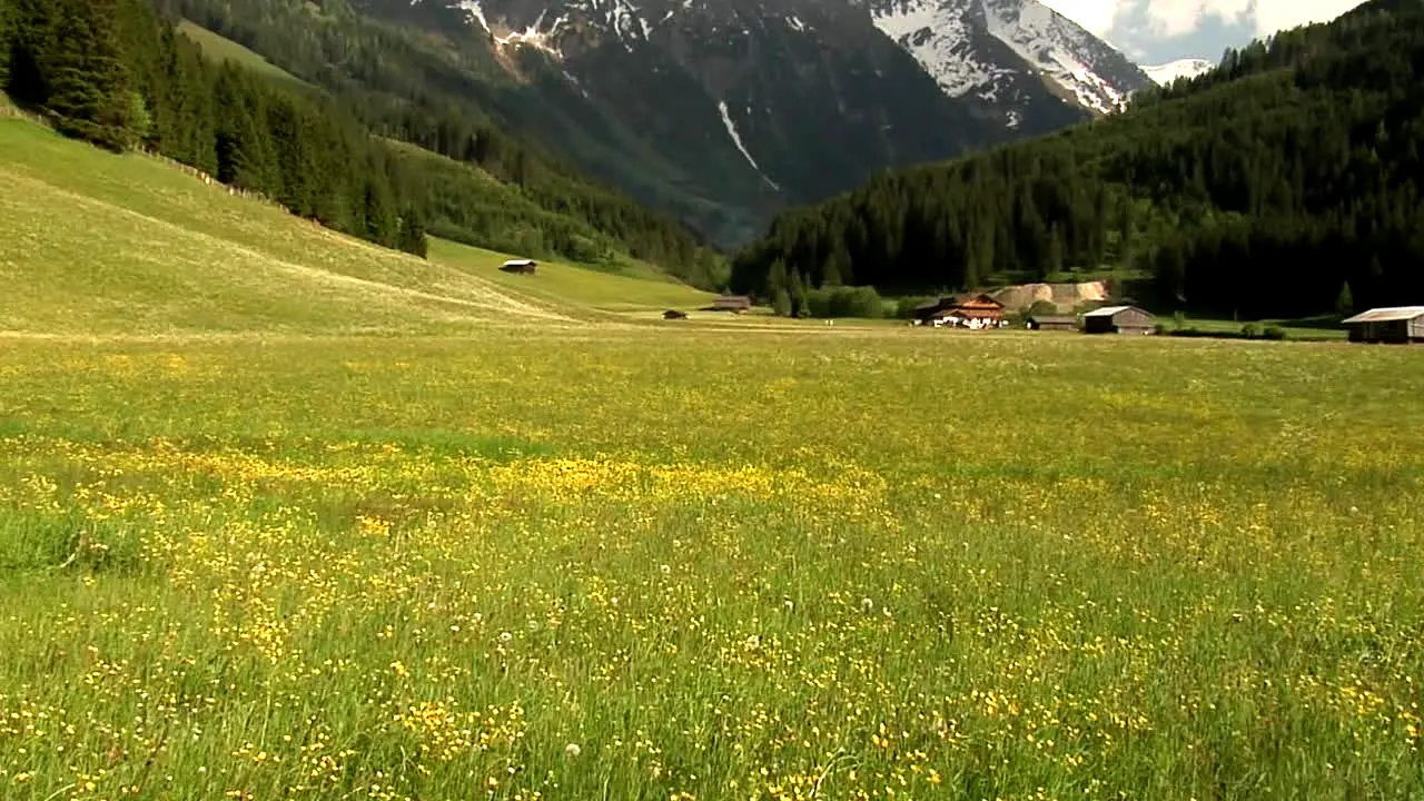 NatureVision live