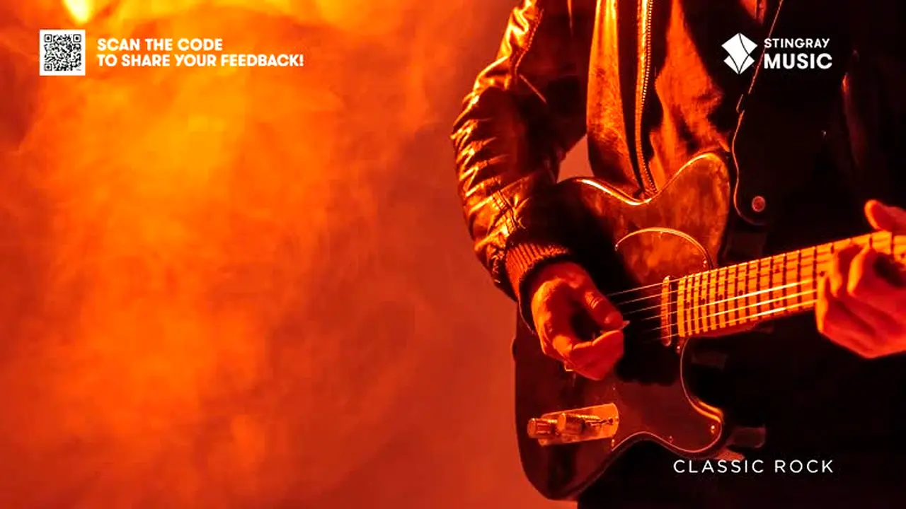 Stingray Classic Rock live