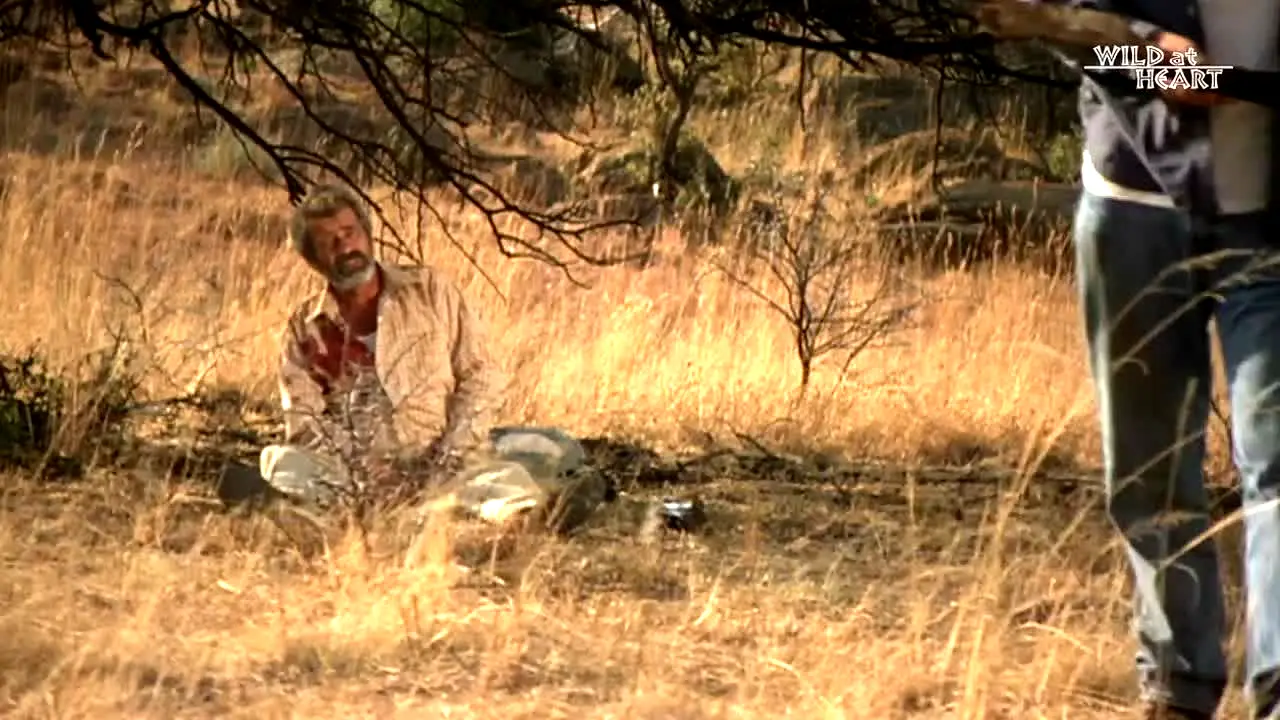 Wild At Heart live