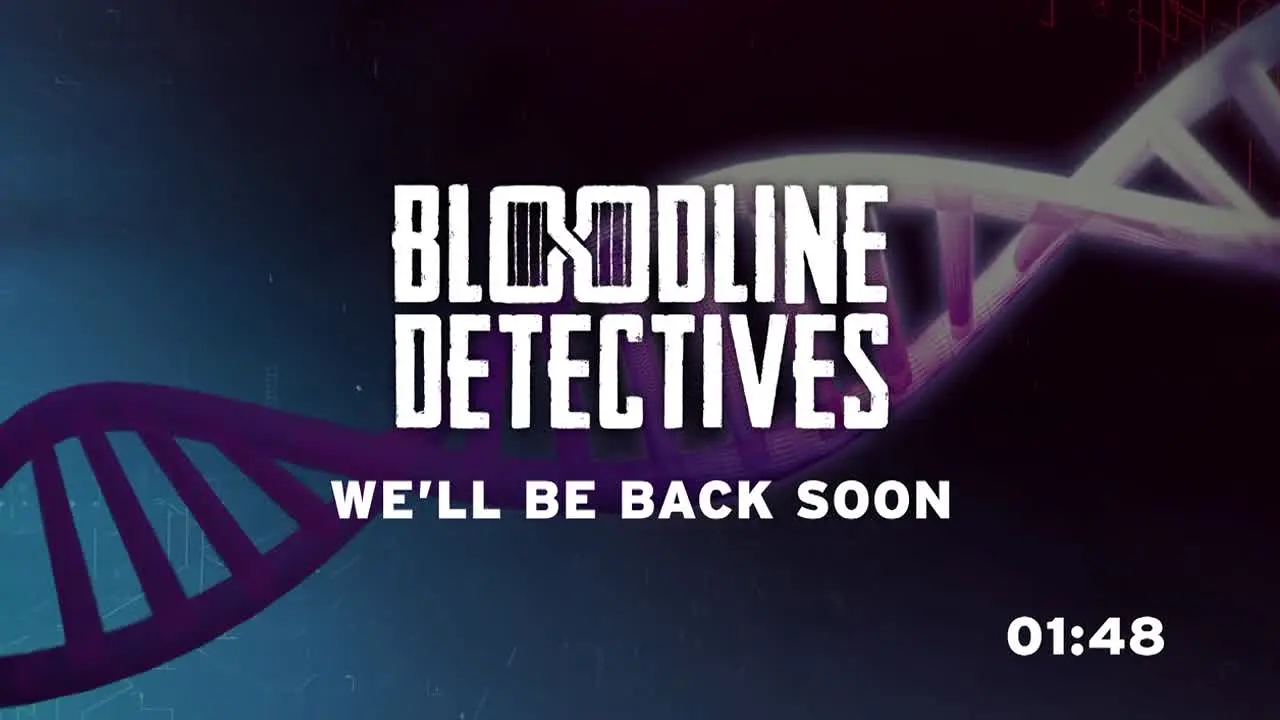 Bloodline Detectives ao vivo