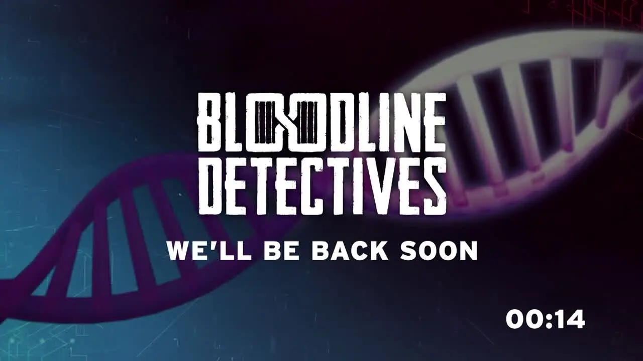 Bloodline Detectives en vivo