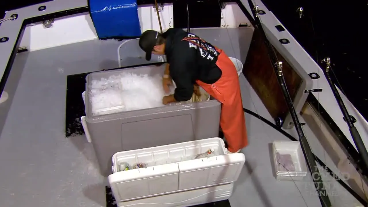 The Wicked Tuna live