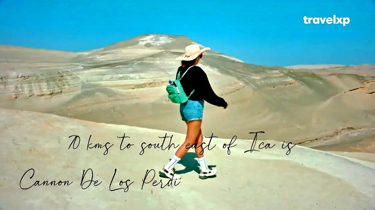 Travelxp live