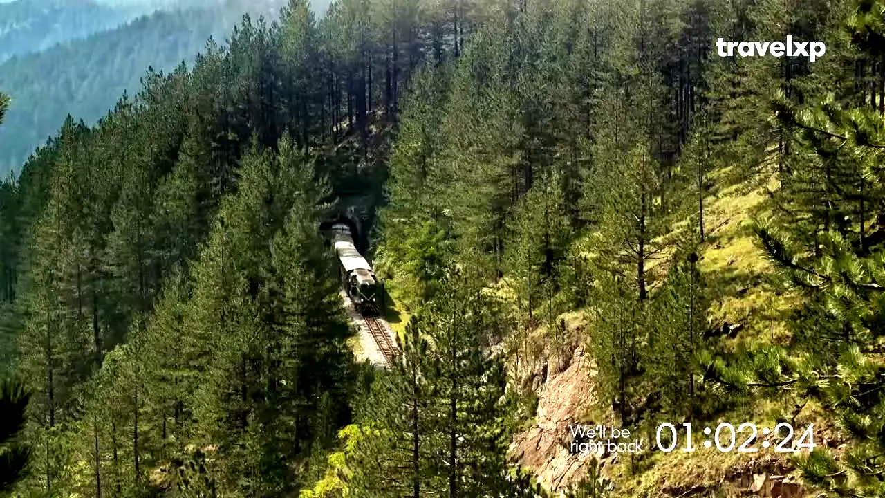 Travelxp live