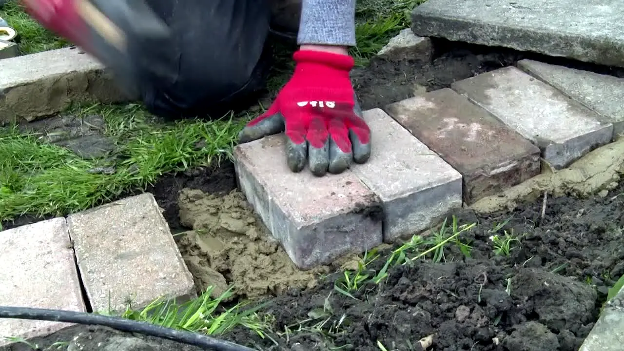 Garden Rescue live