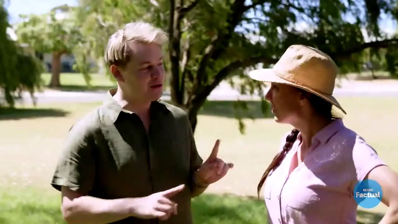ABC Factual Australia live