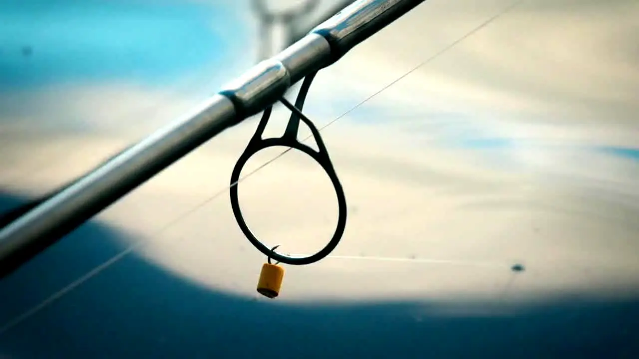 Gone Fishing live