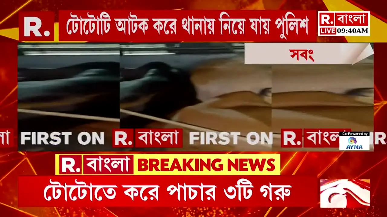 Republic Bangla ao vivo