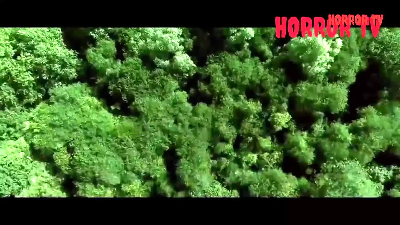 Horror TV live