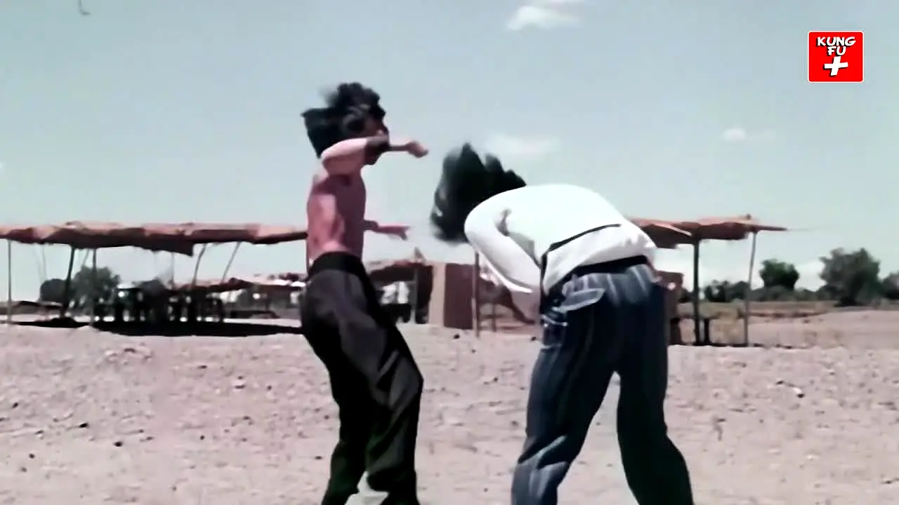 Kung Fu Action live