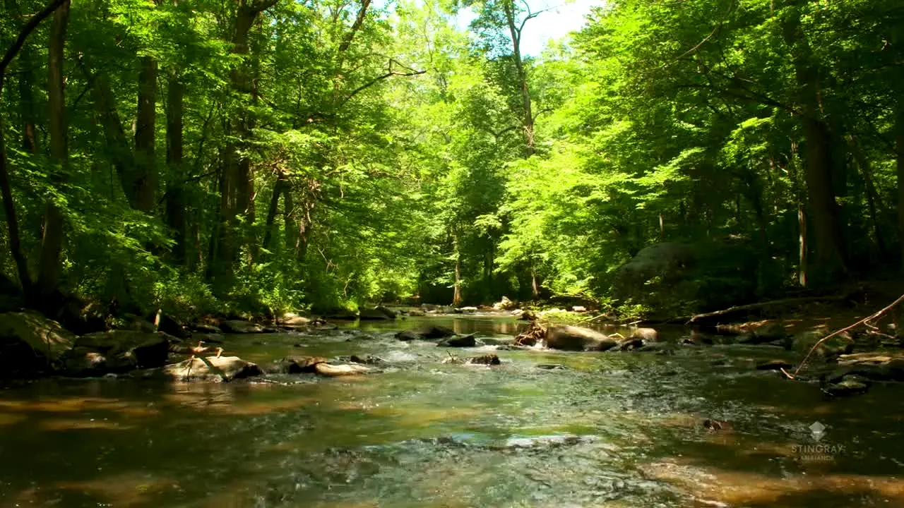 NatureVision in diretta