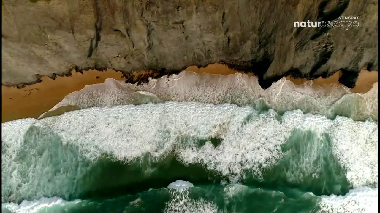 Stingray Naturescape ao vivo