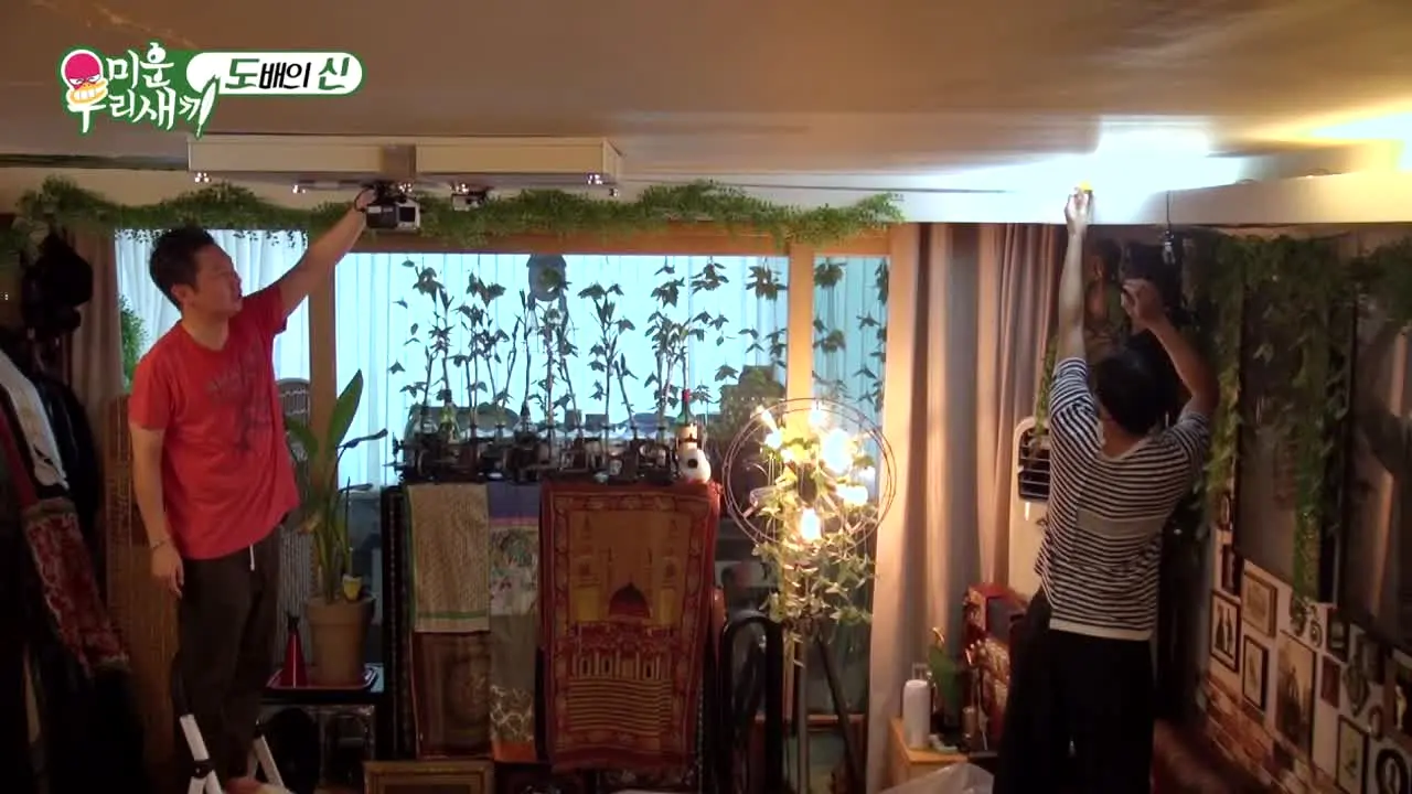 미운 우리 새끼 na żywo