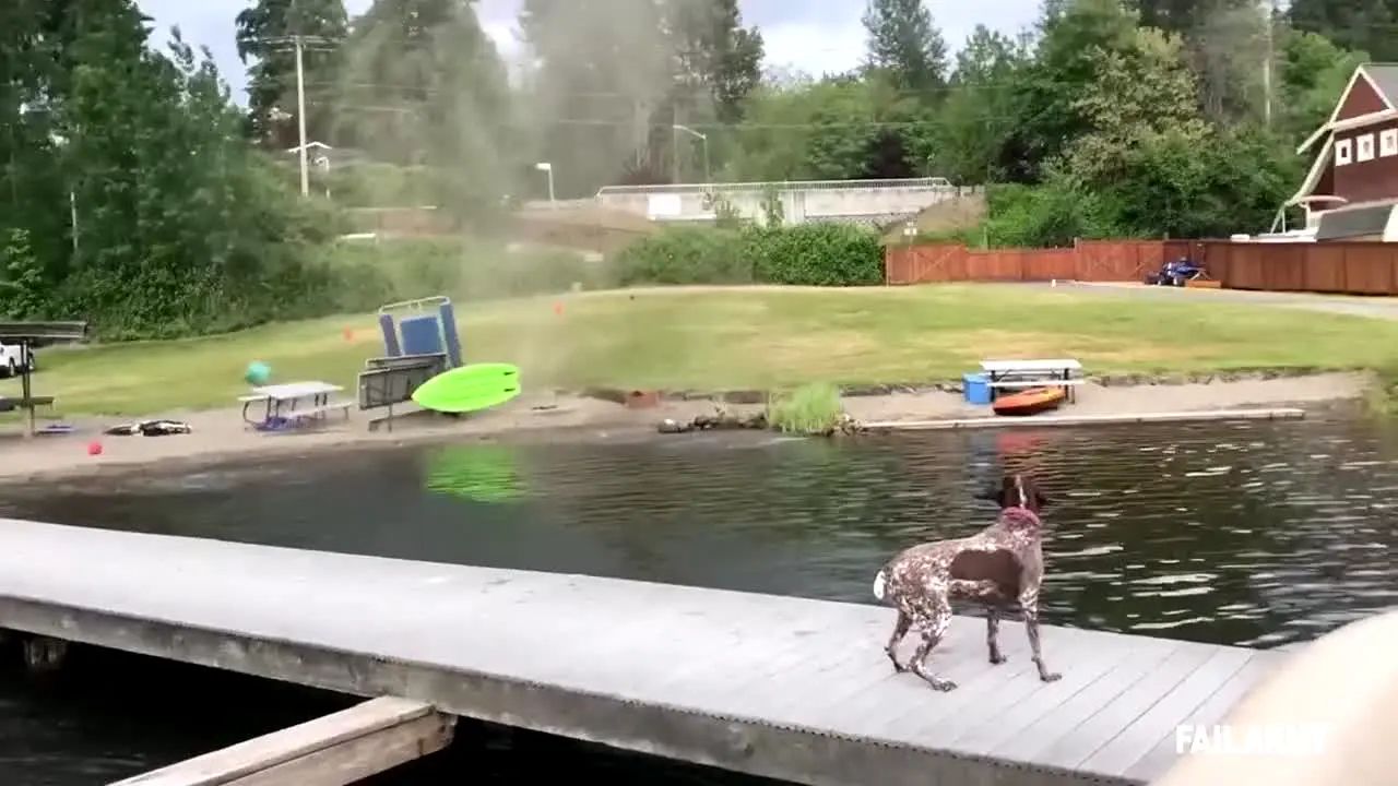 FailArmy live