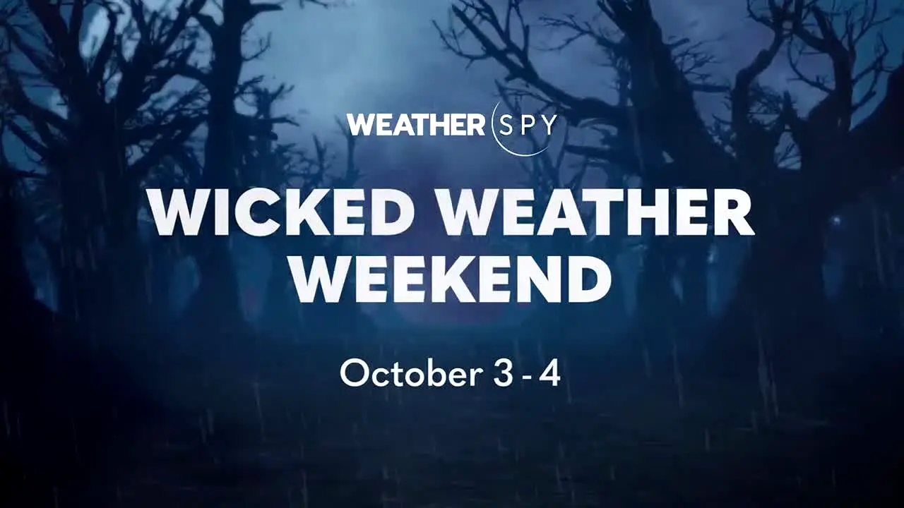 WeatherSpy live