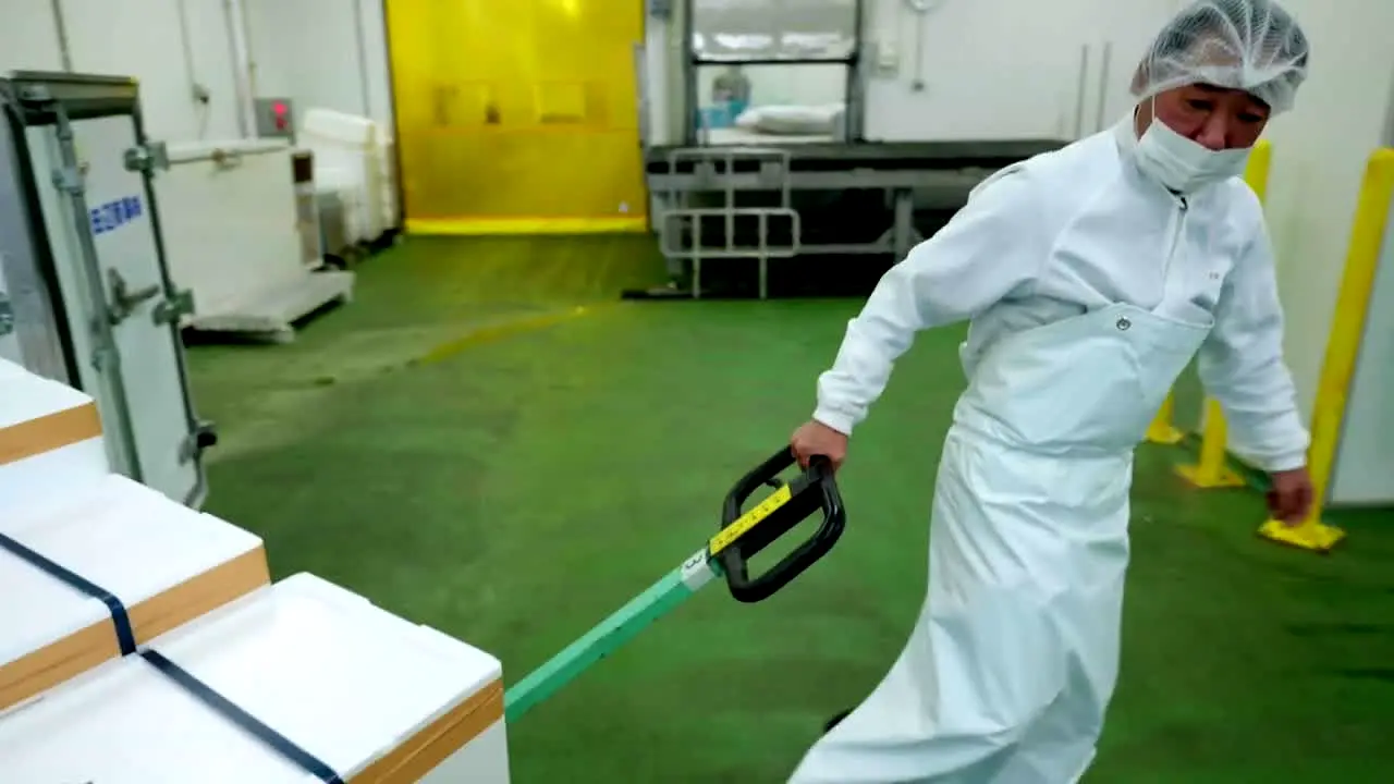 Xtreme Caution na żywo