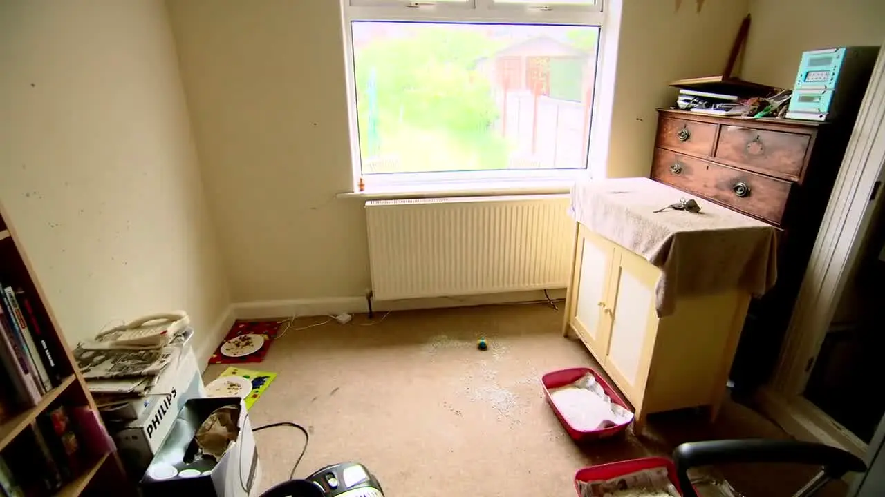 Obsessive Compulsive Cleaners in diretta