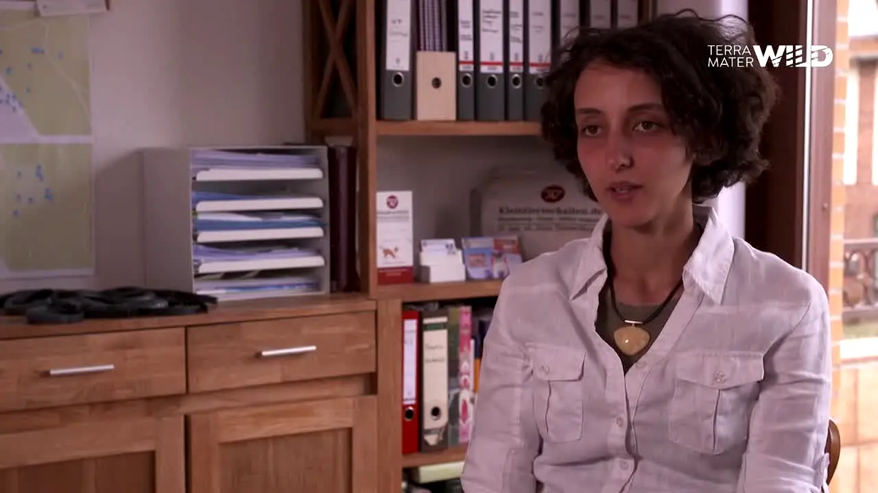 Terra Mater WILD in diretta