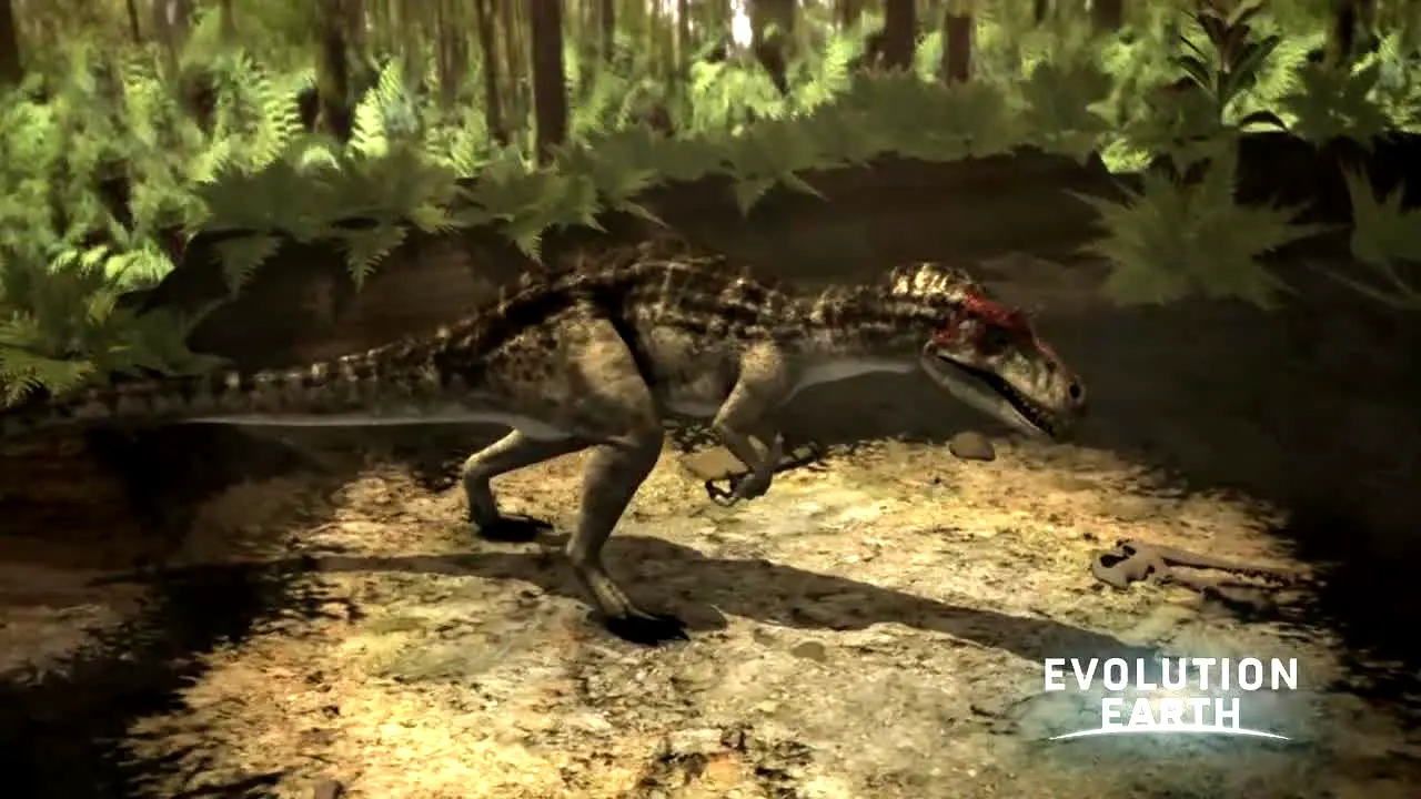 Evolution Earth live