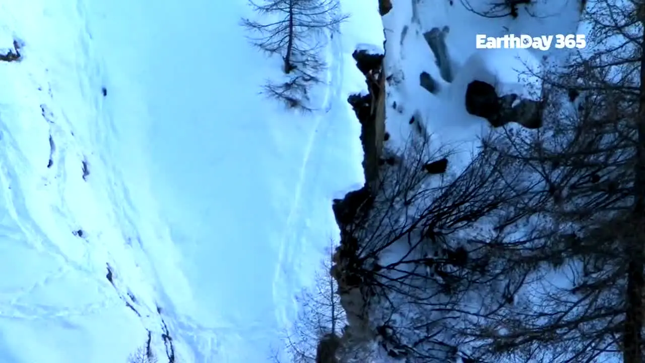 EarthDay 365 en direct