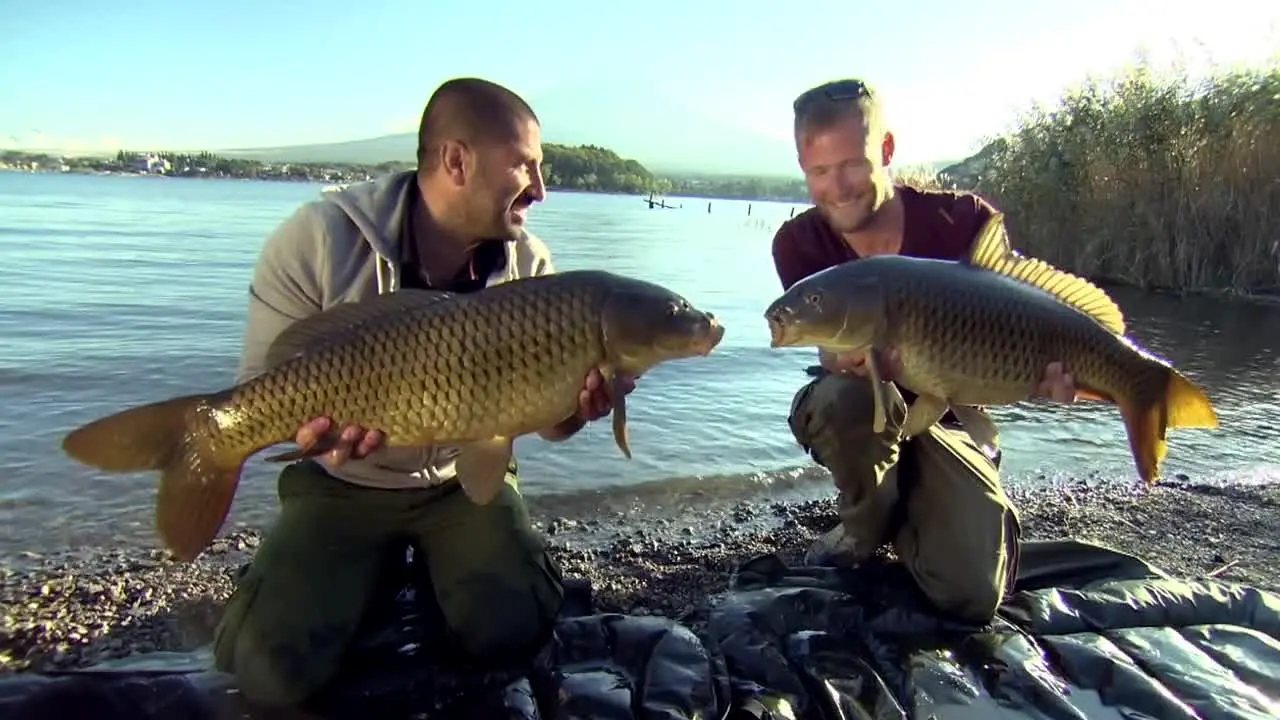 Gone Fishing na żywo