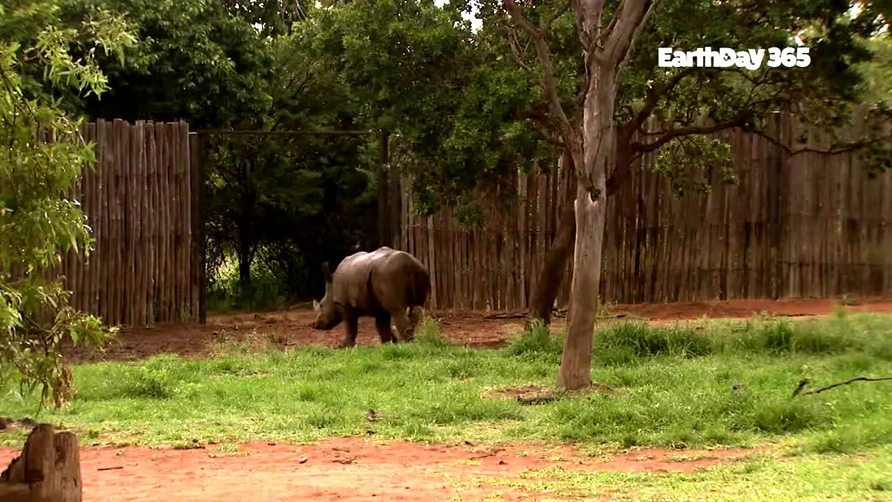 EarthDay 365 en direct